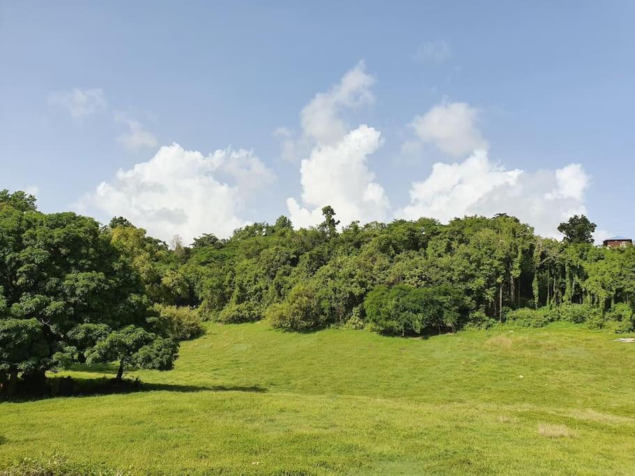 Villa Aichy Rabi エクステリア 写真